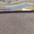 Picture 10 of 12