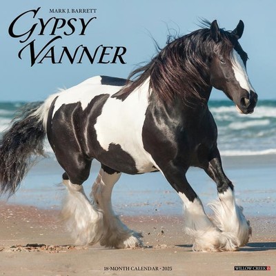 Willow Creek Press | Gypsy Vanner Horse 2025 12 X 12 Wall Calendar | Kalender