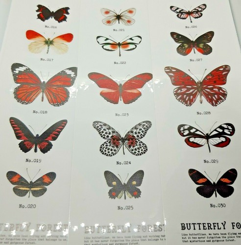 Butterfly PET Sticker /1 Pc/Lot Vintage Jungle Animal /DIY/ Diary /Journal / - Picture 8 of 15