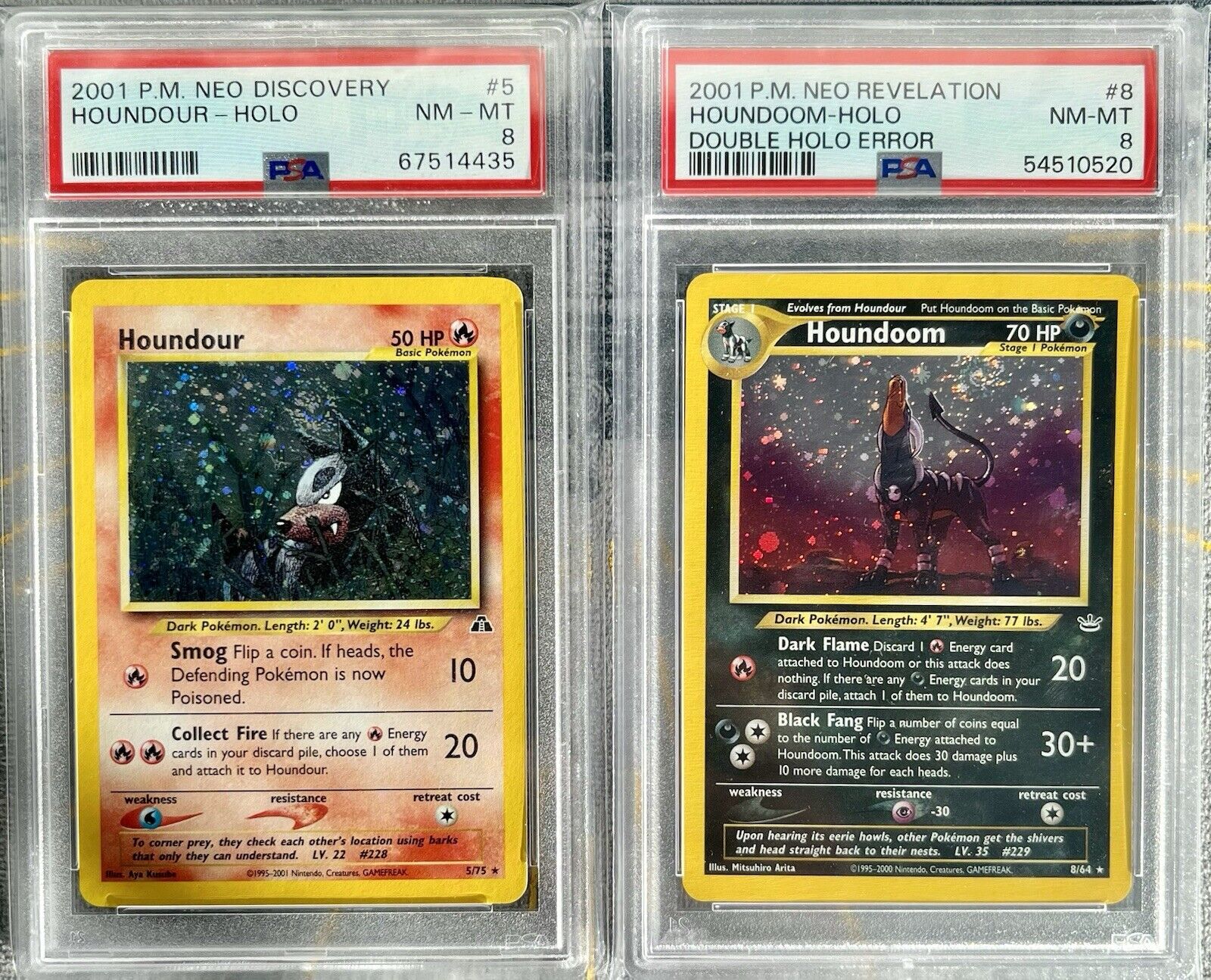 DOUBLE HOLO ERROR PSA DOUBLE HOLO ERROR PSA