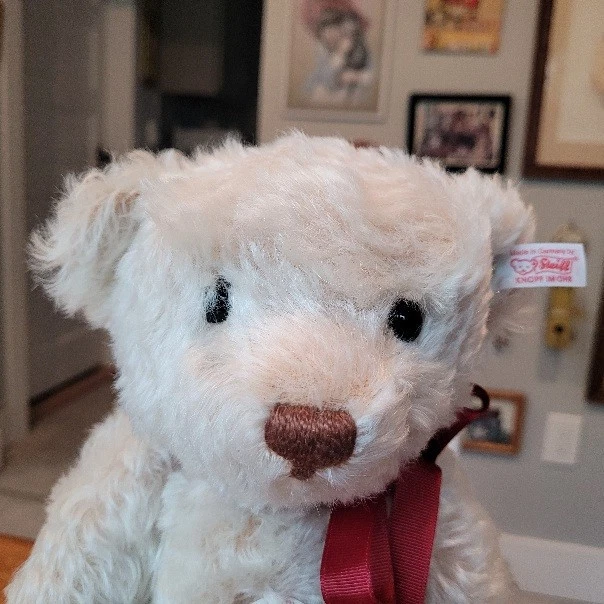 Steiff Teddy B.12 pink 12インチ il_fullxfull.6885186647_ti9j.jpg