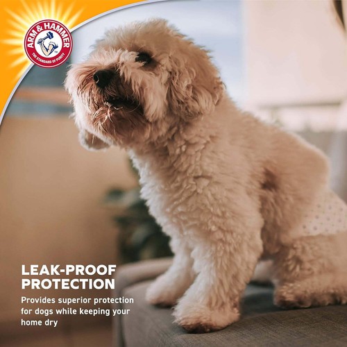 Female Dog Diapers, Size Small, Ultra-Absorbent, with Leak-Proof Protection - Picture 4 of 10