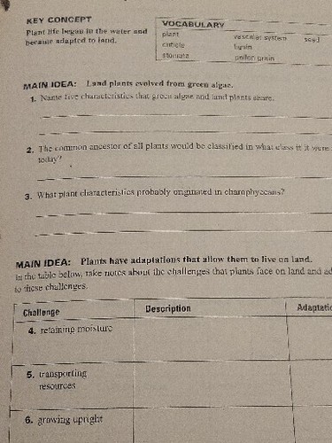 Biologie Studienführer Taschenbuch von MCDOUGAL LITTEL SEHR GUT - Bild 10 von 10