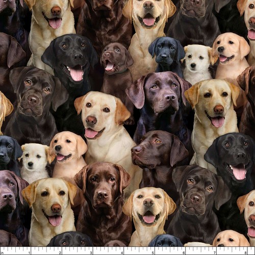 Elizabeths Studio - Best Friend - Labradors - Multi, Fabric by the Yard - Picture 2 of 2