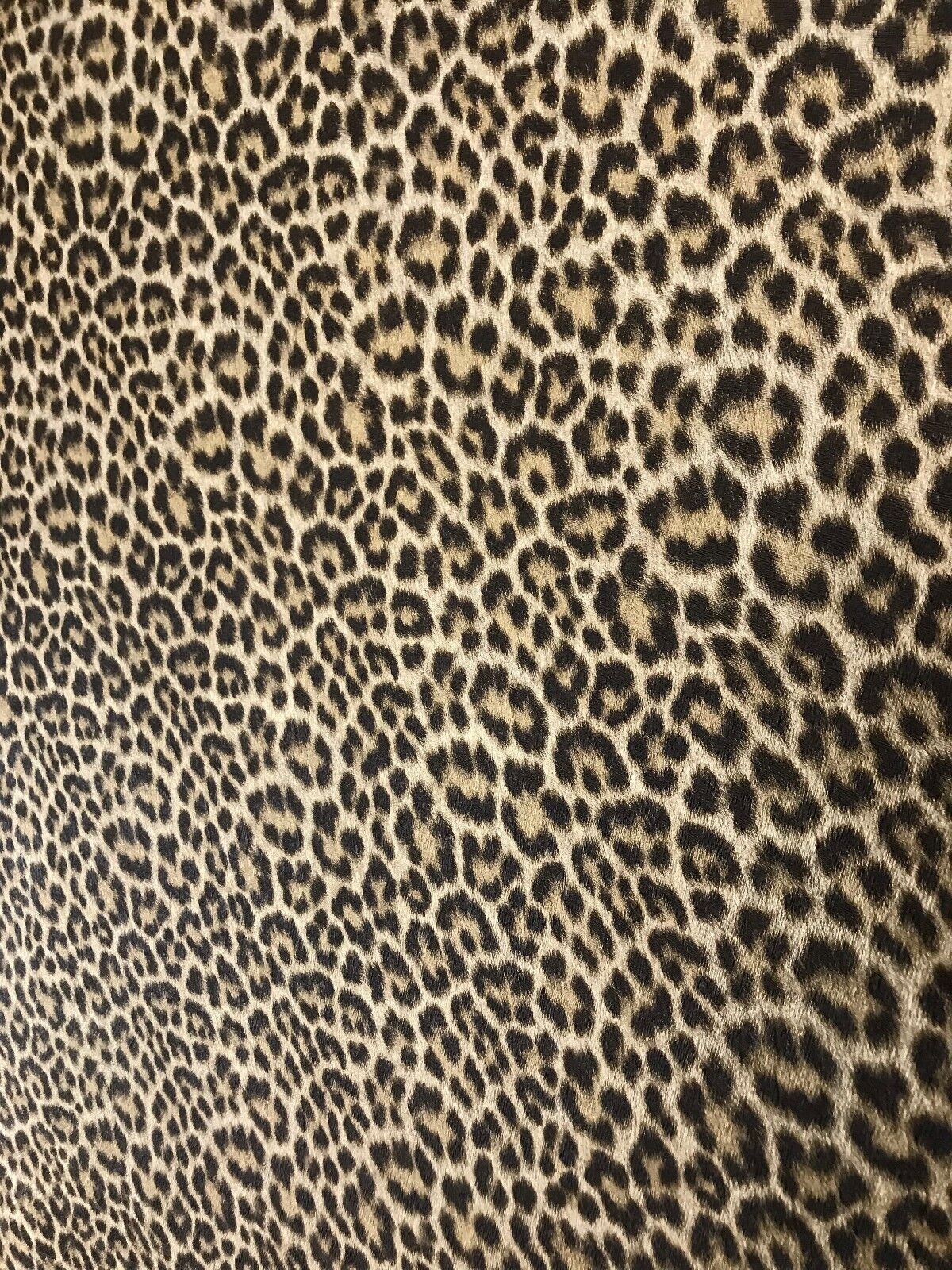 Picture 5 of 11