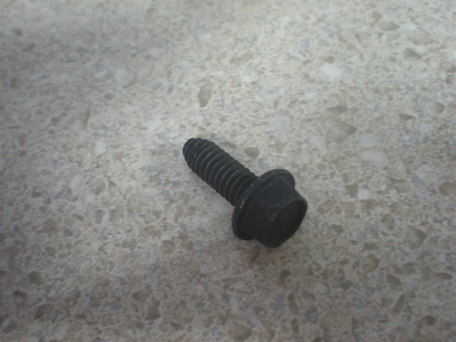 BOLT(10)