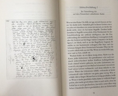 Herbert Rosendorfer - Die Schönschreibübungen des Gilbert Hasdrubal Koch (1999) - Picture 12 of 12