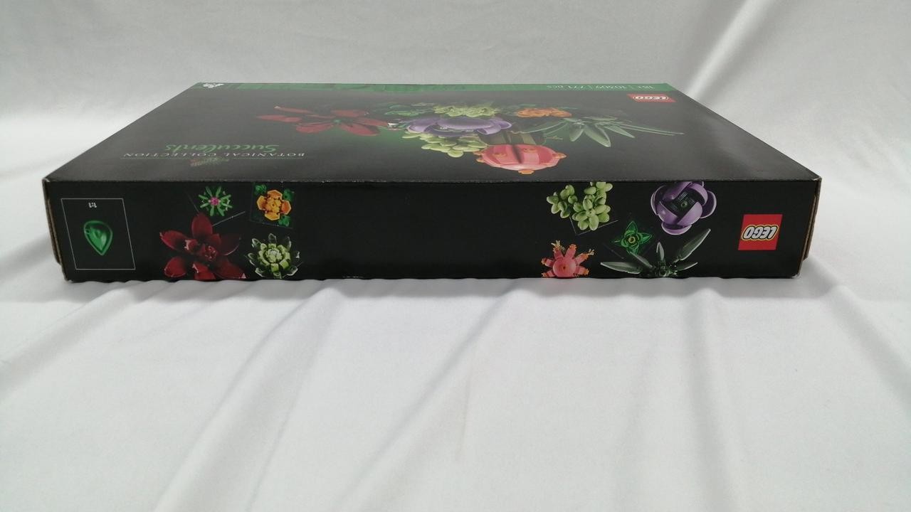 Picture 3 of 6