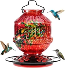 Blown Glass Hummingbird Feeders for Outdoors, 25 Ounces Wild Bird Nectar Feeder 
