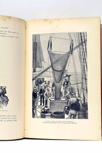 Les Explorations sous-marines PERRIER 243 illustrations Hachette 1886 - Picture 7 of 12