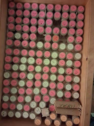 MEMORIAL ROLL SET BU AND PROOFS PLEASE READ AD 3 DAY AUCTION