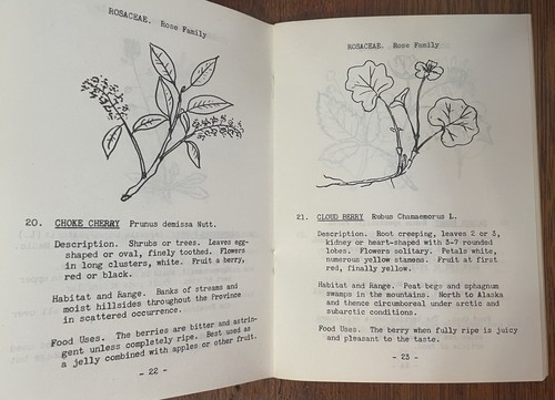 Fünfzig essbare Pflanzen British Columbia von G A Hardy 1942 Erstausgabe Vintage - Bild 8 von 11