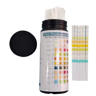Home 100Strips URS-10T Urinalysis Reagent Strips 10Parameters Urine Test Strip
