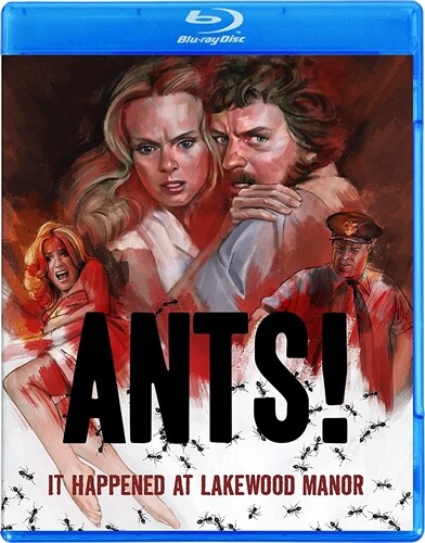 ＶＩＶＡＮＴ DVD 楽天市場】VIVANT DVD-BOX 未開封 【中古】【映画DVD・BD