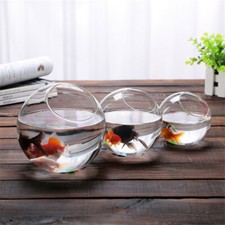 Round Glass Ball Bowl Vase Terrarium Succulents Planter Fish Tank Landscape Home