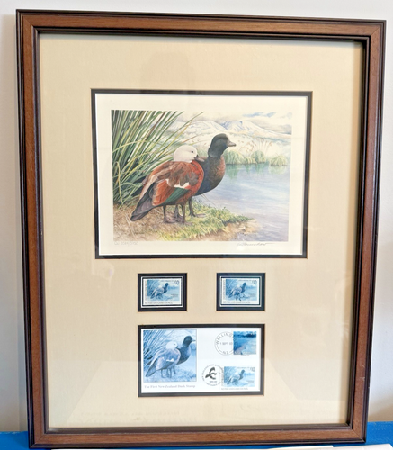 New Zealand First Duck Stamp 1993 PRINT Adele Earnshaw SIGNED #5584 Mat Framed - Picture 3 of 8