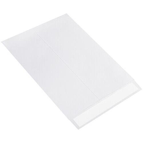 10 x 13" Flat Ship Lite? Envelopes Mailing Shipping 100/Case