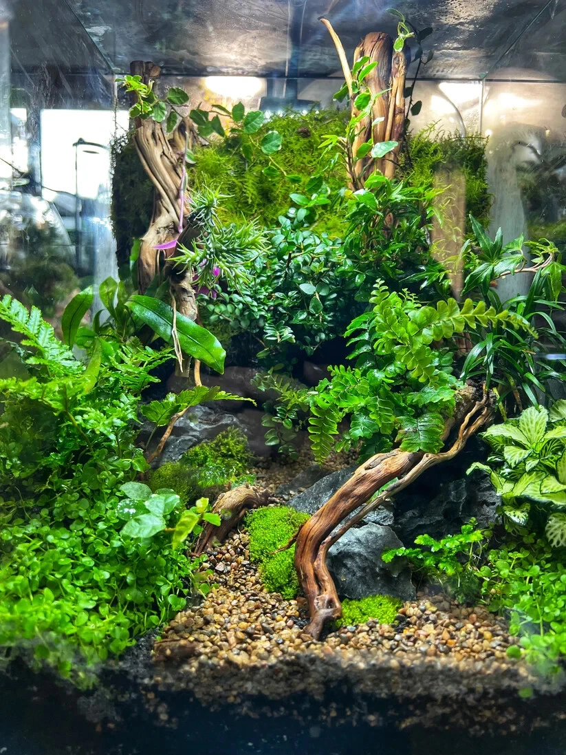 Picture 4 of 6