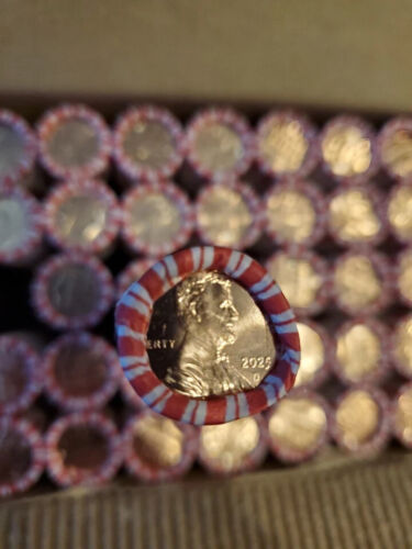 2025 D Penny nagelneu Karton mit 50 Rollen sofort lieferbar