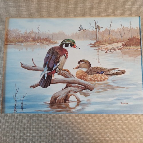 80s Framed Signed Erwin Rambow Wildlife Art Wood Duck Lithograph Vintage - Picture 5 of 14