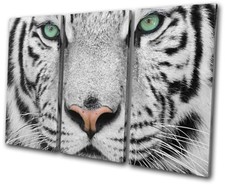 Siberian Tiger Green Eyes Animals TREBLE CANVAS WALL ART Picture Print