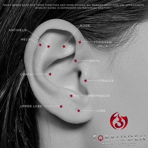 16G 6Mm Surgical Steel Curved Barbell for Daith, Eyebrow, Rook & Belly Button wi - Picture 5 of 8