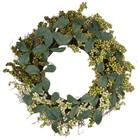 Northlight Autumn Harvest Berries Green Leaves Artificial Grapevine Wreath 24"