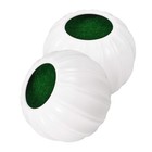  2 Pcs Pumpkin Planter Flower Arrangement Holder Fruit Vase Decor