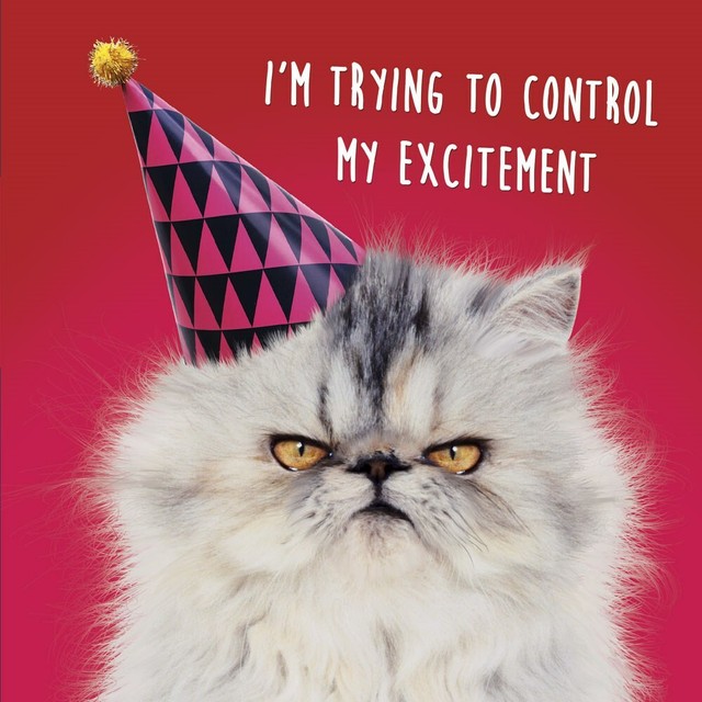 Lenticular 3D Birthday Card Funny Grumpy Cat /& Party Hat Greeting Card NEW