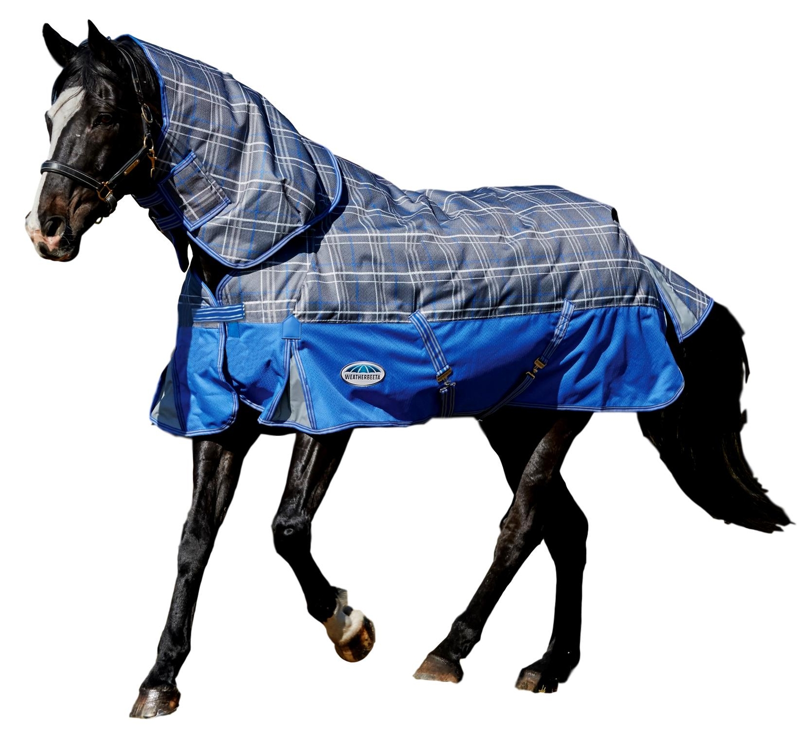 Weatherbeeta comfitec Premier libre desconexión-a-Cuello Pesado Caballo Manta Weatherbeeta comfitec Premier libre desconexión-a-Cuello Pesado Caballo Manta