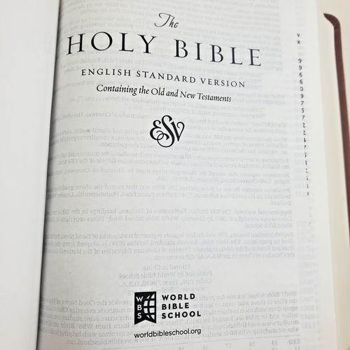 Die Bibel ESV Weltbibel Schulstudienausgabe 2016 Kunstleder Englisch Standar - Bild 4 von 5