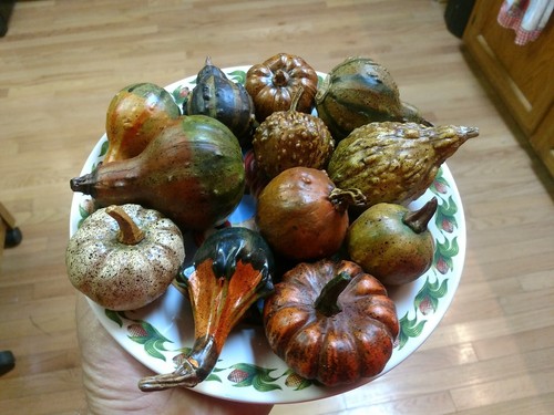 12 Assorted Pumpkins and Gourds Fall Decorations Home Decor Salem Collection - Picture 2 of 9