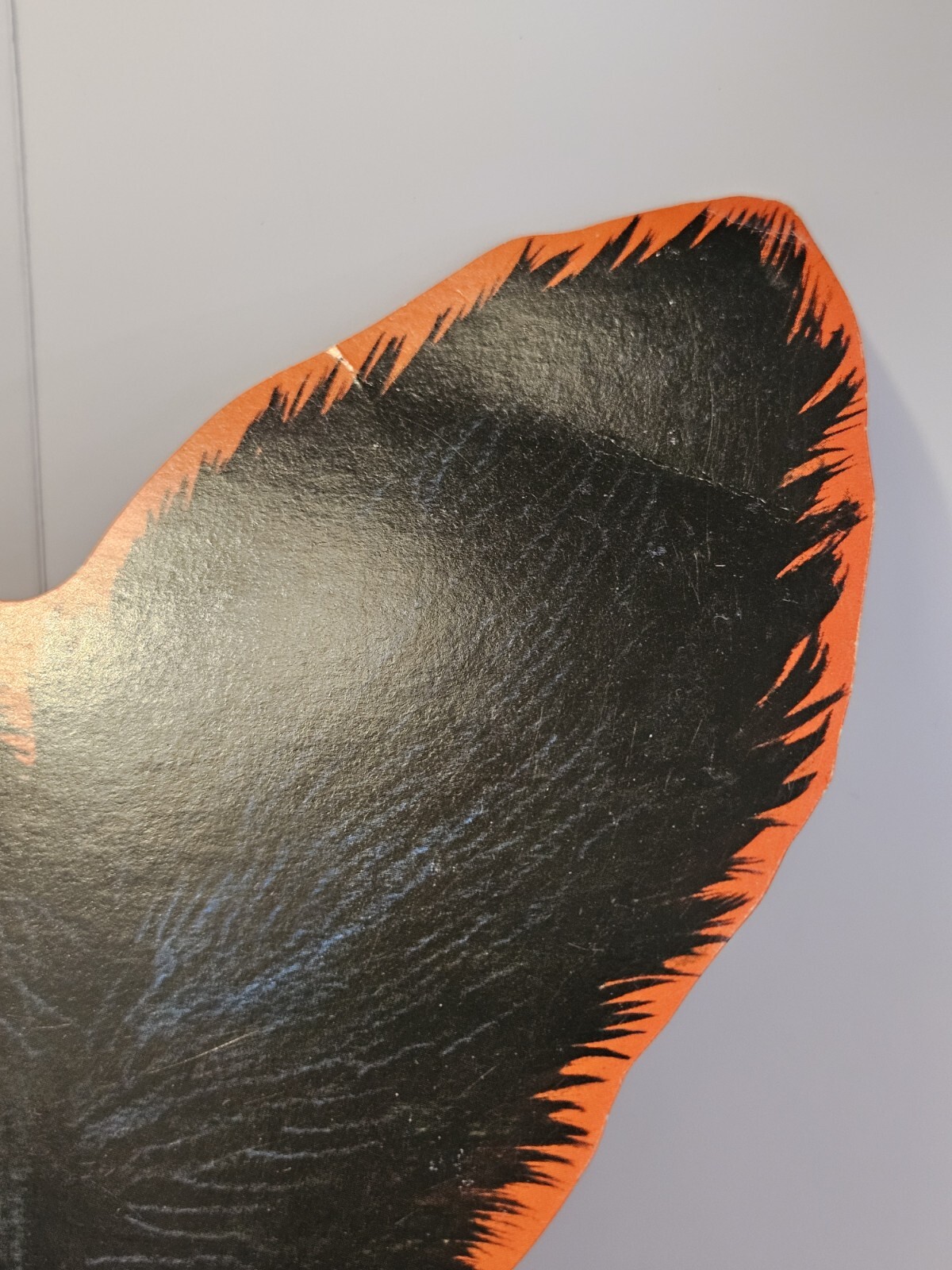 Picture 12 of 24