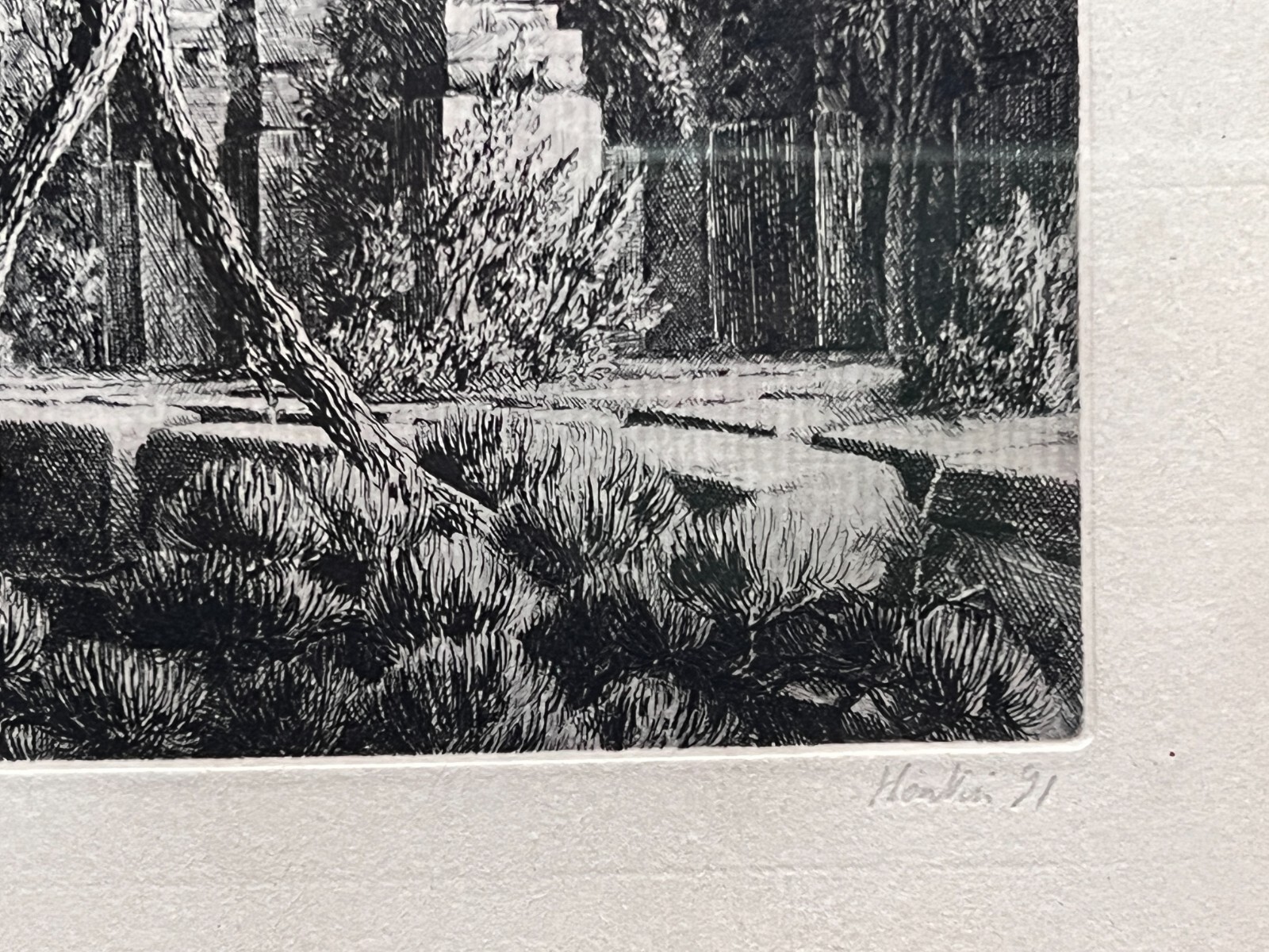 Picture 5 of 8