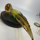 Picture 20 of 20