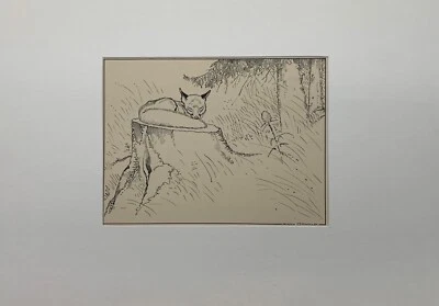 Jugendstil Zeichnung Eugen Osswald Tier Porträt Schlafender Fuchs im Wald - Bild 1 von 4