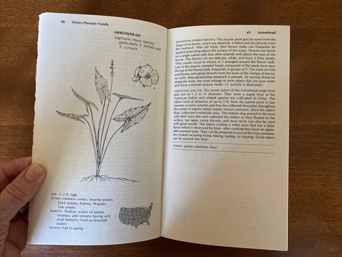 The Wild Food Trailguide paperback by Alan Hall - Imagen 9 de 9