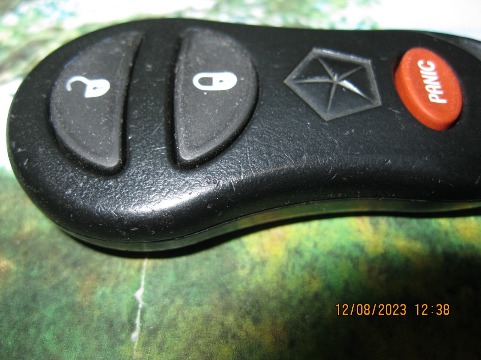 Picture 4 of 4