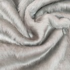 Bild 11 von 14