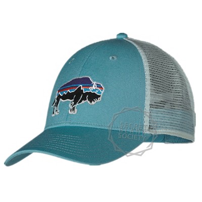patagonia bison hat