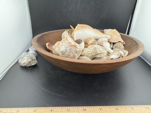 Vintage Wooden Bowl & Collection Of Sea Shells / See Photos - Picture 3 of 16