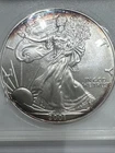 2001 1 oz Silver American Eagle (Brilliant Uncirculated)