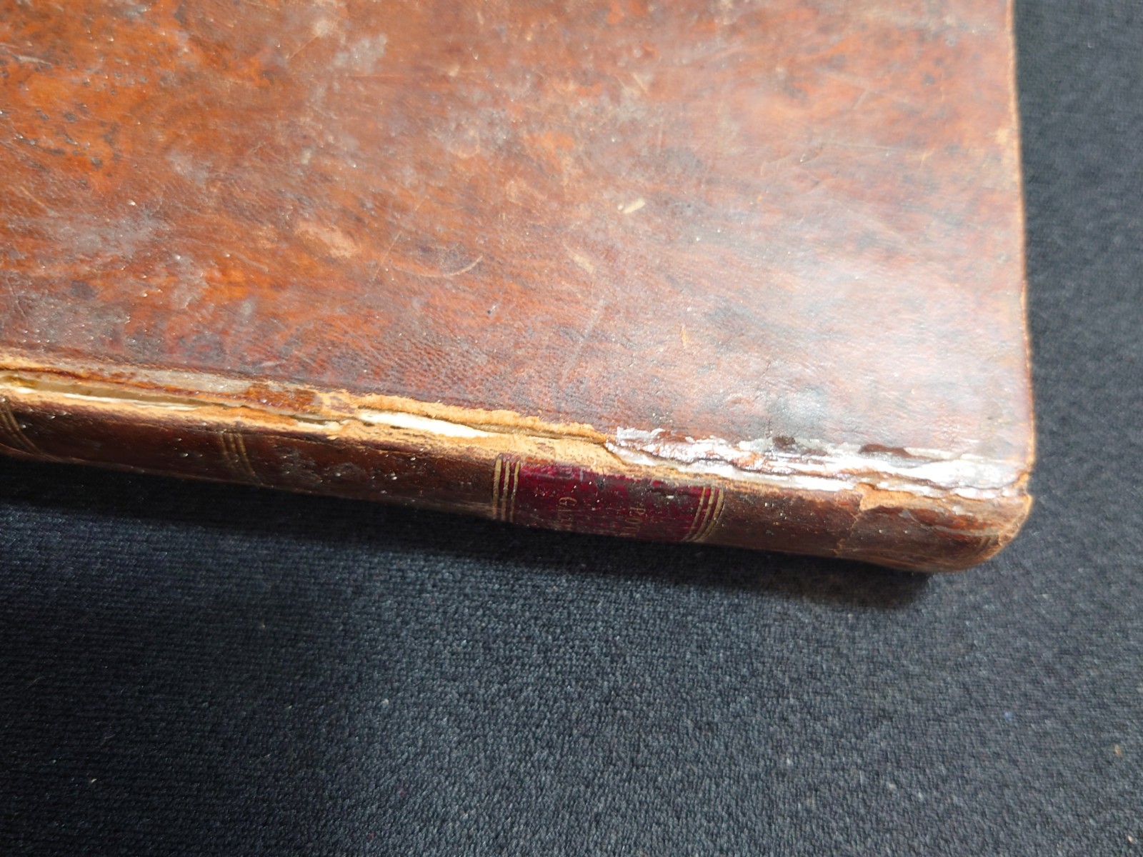 Picture 15 of 24