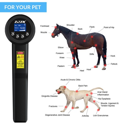 8W Class IV Laser Treatment for Pain 650nm 808nm Red Light Therapy for Human Pet - Picture 8 of 15