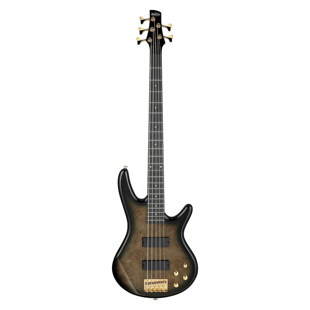 Ibanez Gio GSR205PC 5-струнная прозрачная бледно-черная электрическая бас-гитара Burst