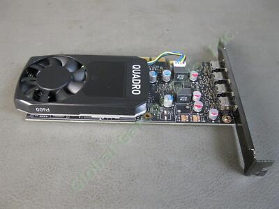 NVIDIA Quadro P600 2GB GDDR5 PCIe Graphics Video Card 4 Mini DisplayPort DP