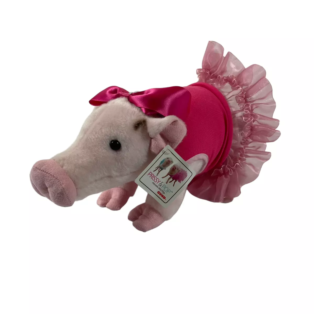 Micro pig teddy hotsell