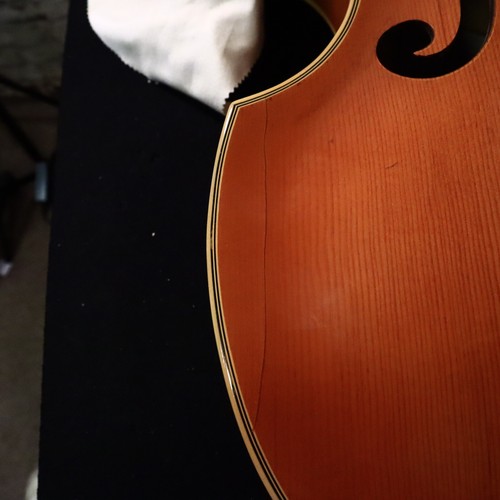 EKO 4 string Violin Bass Natural Made in Italy Model 995 - Picture 12 of 19