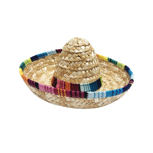 Multicolored Pet Sombrero Dog Costume 