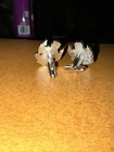 Bild 3 von 3